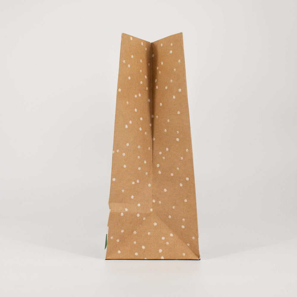 Large Christmas Gift Bag Kraft Santa Rainbow Foil