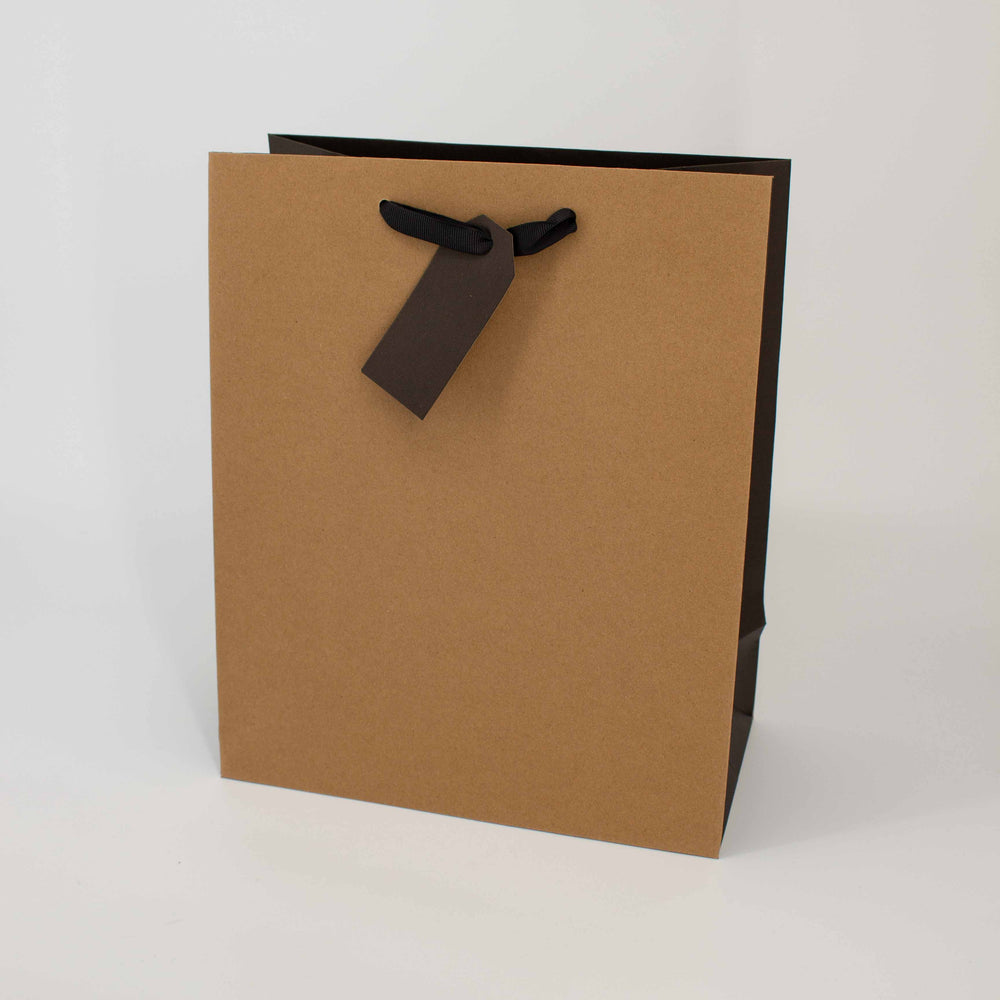 Large Kraft Gift Bag