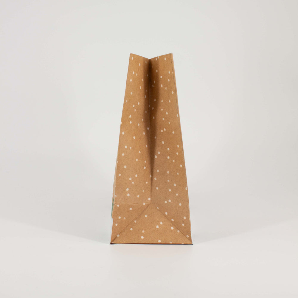 Christmas Santa Medium Kraft Bag