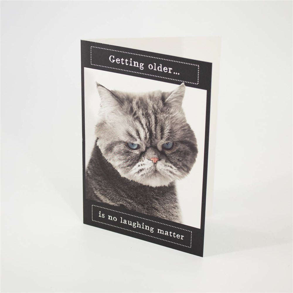 Funny Cat Birthday Card