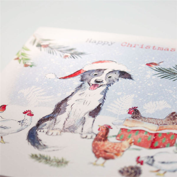 Collie and Hens Christmas Card
