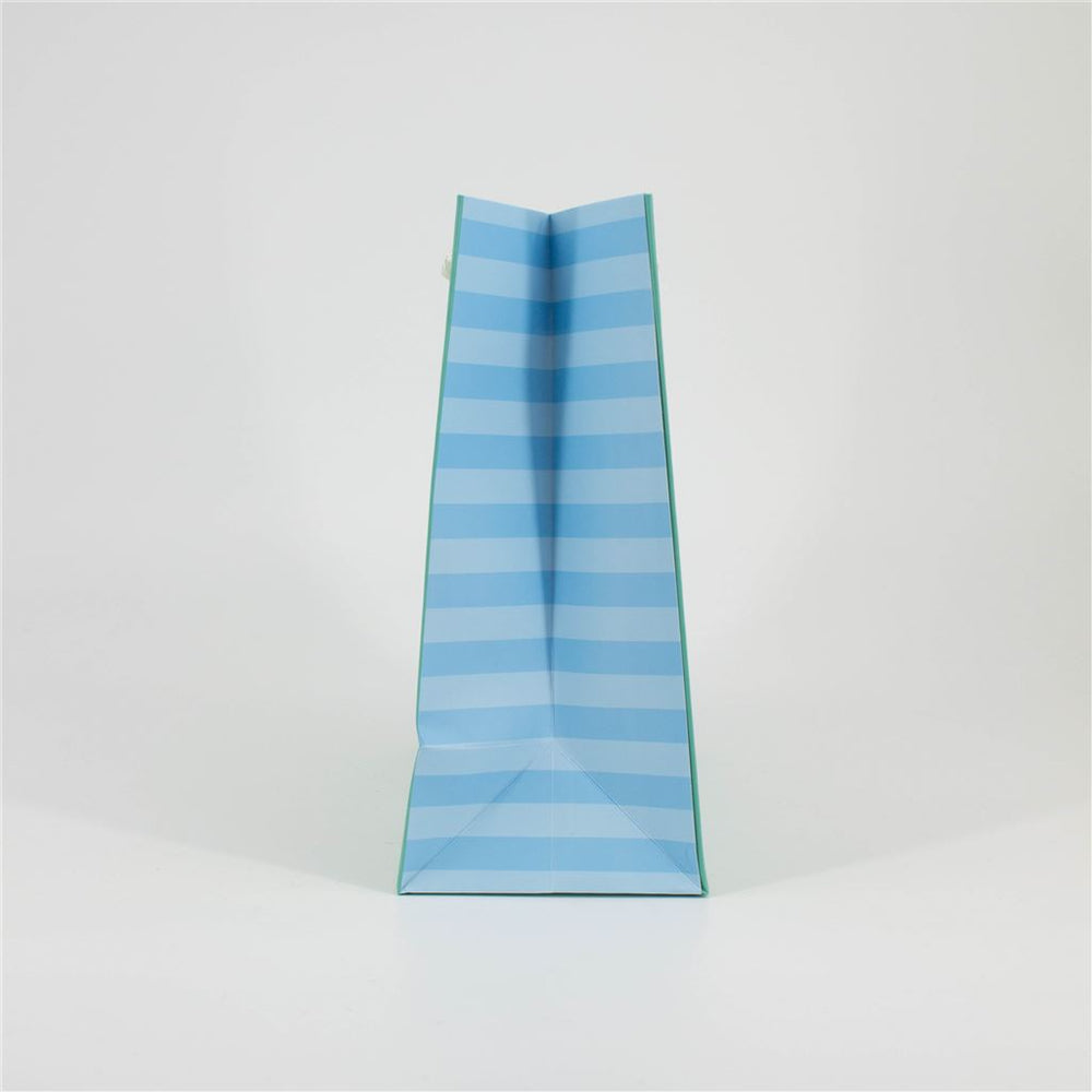 Medium Bluey Gift Bag