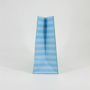 Medium Bluey Gift Bag