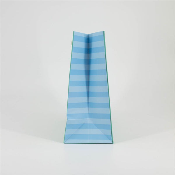 Medium Bluey Gift Bag