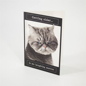 Funny Cat Birthday Card