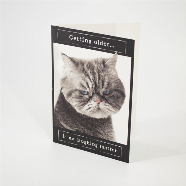 Funny Cat Birthday Card
