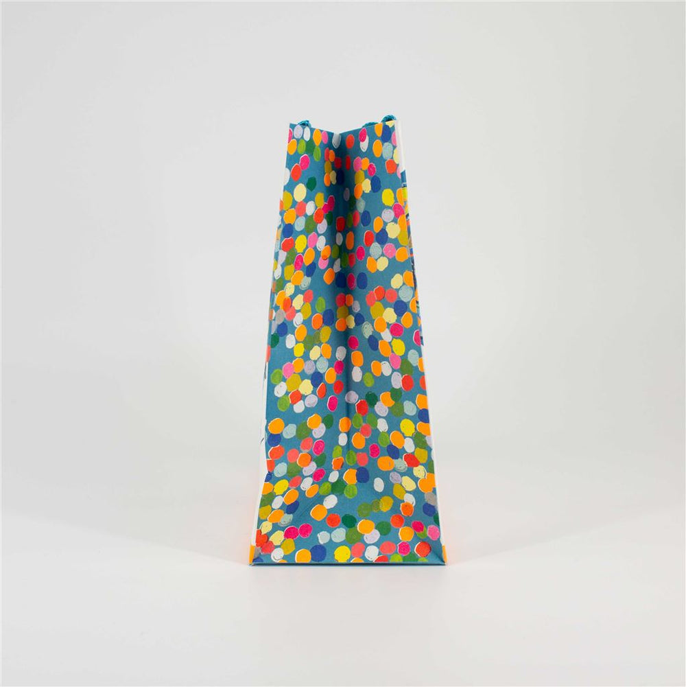 Baby Boy Medium Gift Bag