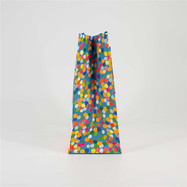 Baby Boy Medium Gift Bag