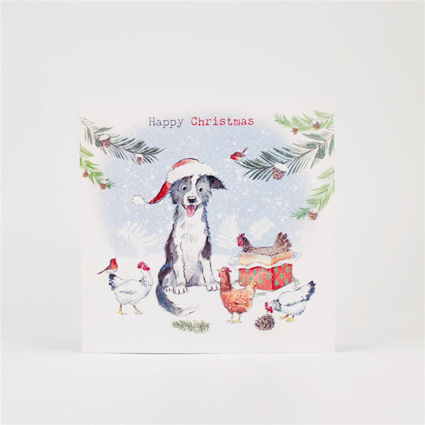 Collie and Hen Christmas Card