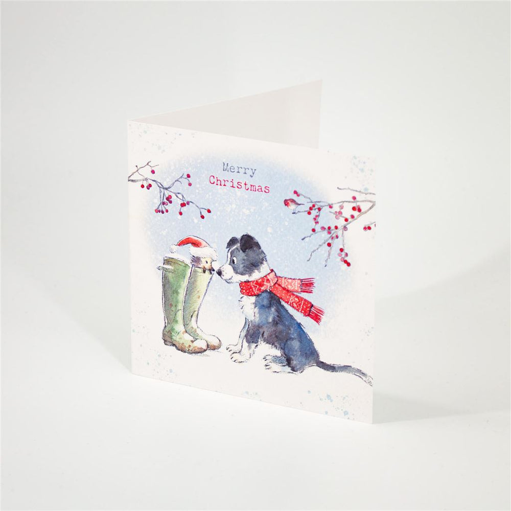 Collie & Hedgehog Christmas Card