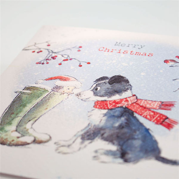 Collie & Hedgehog Christmas Card
