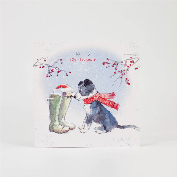 Collie & Hedgehog Christmas Card