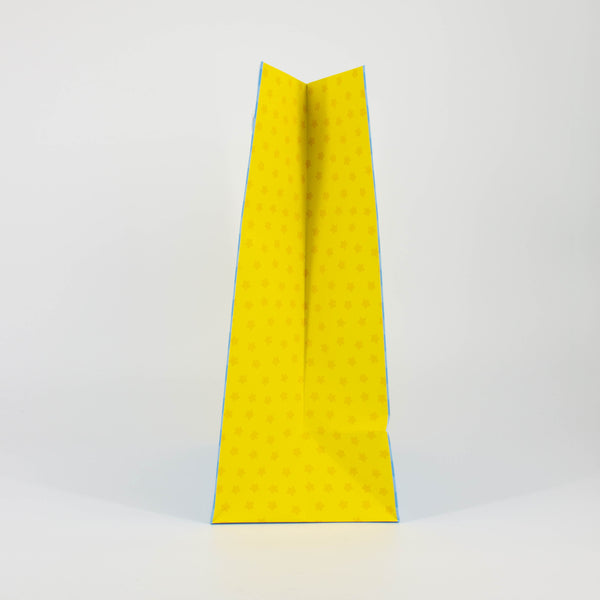 Bluey Party Themed Gift Bag