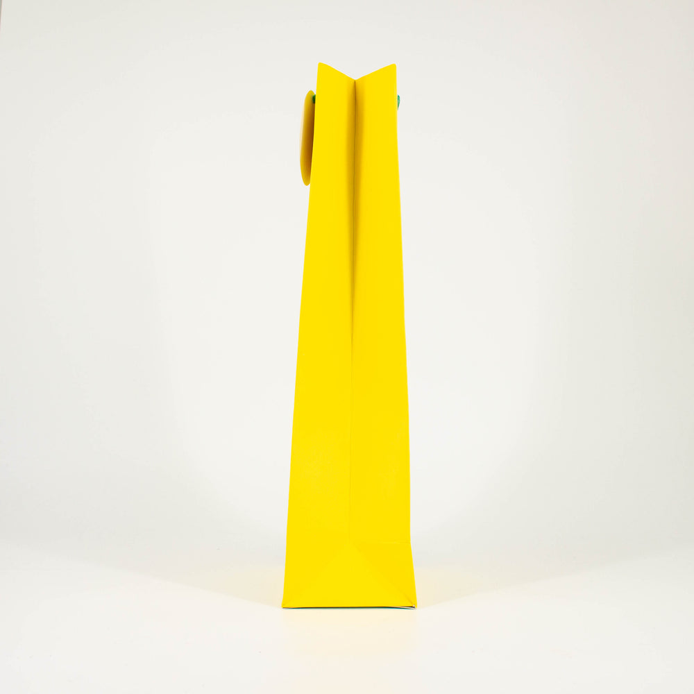 I Hope You Like the Dildo Bottle Gift Bag